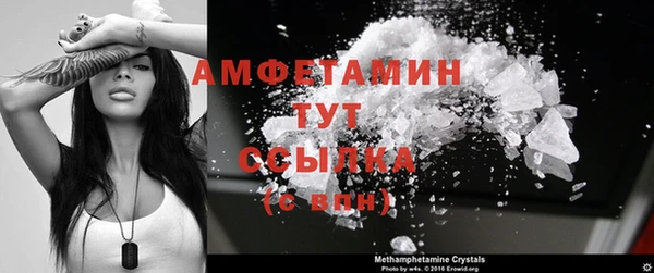 сатива Армянск