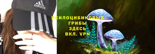 сатива Армянск